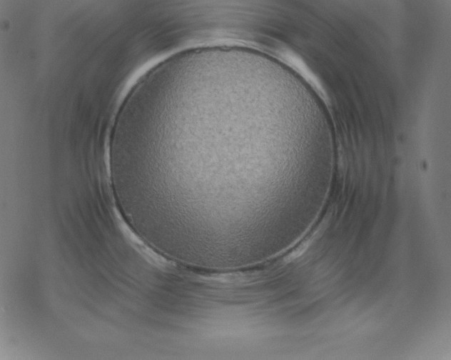 X0000077291388200611101332