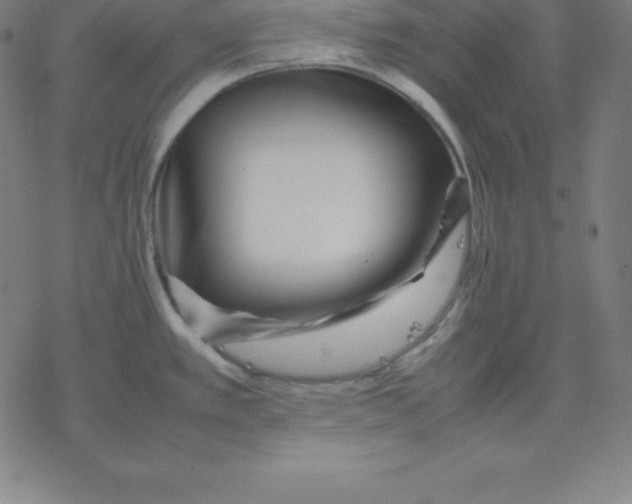 X0000077291389200611101332