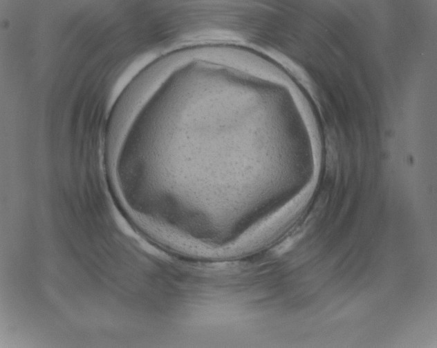 X0000077291390200611101332