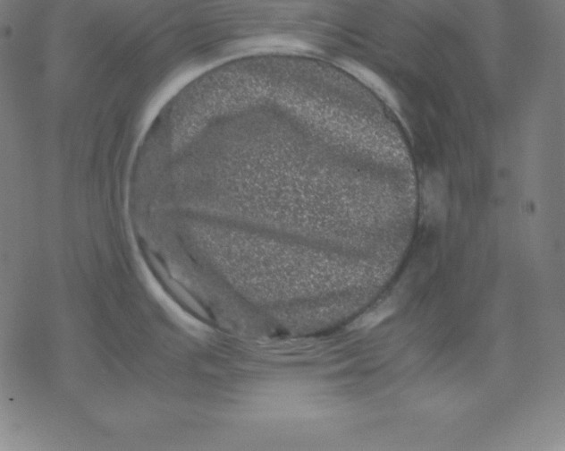 X0000077291391200611101332