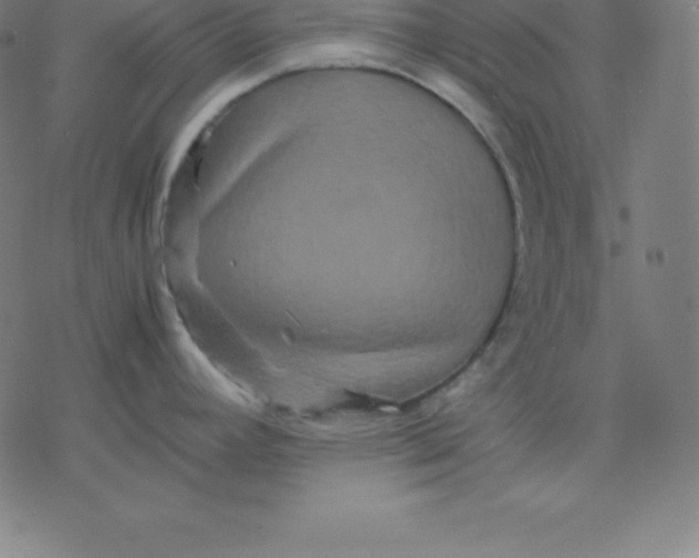 X0000077291392200611101332