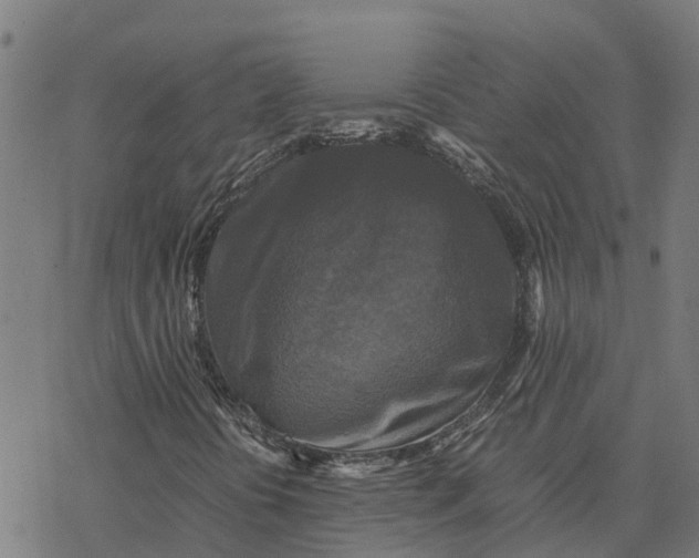 X0000077291394200611101331