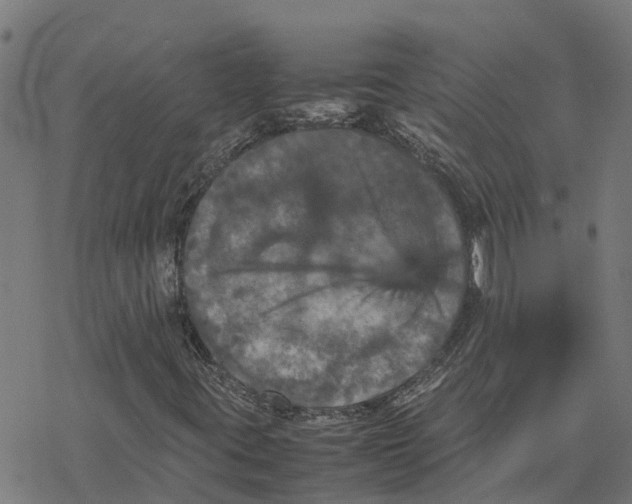 X0000077291395200611101331