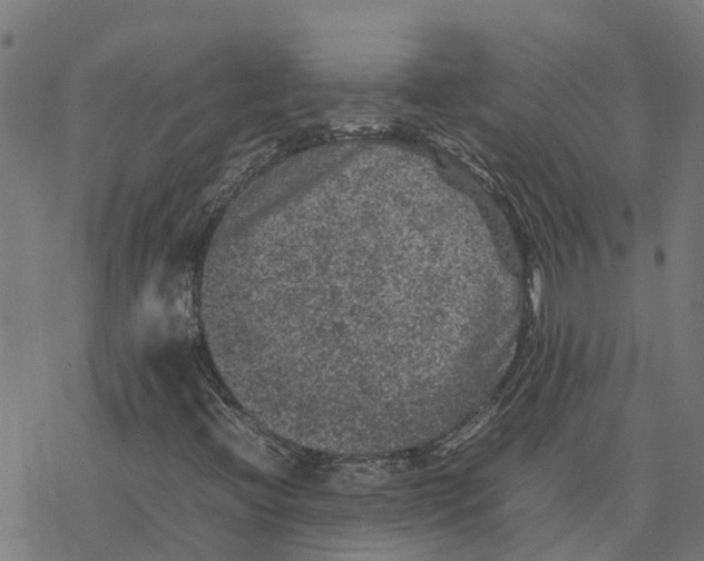 X0000077291396200611101331