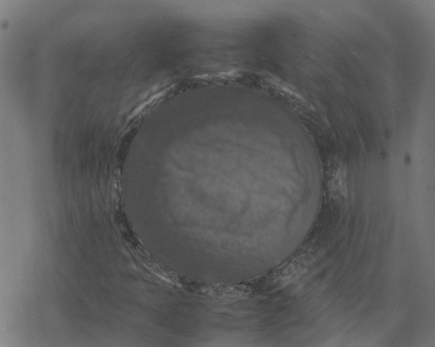 X0000077291397200611101331