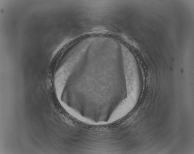 X0000077291400200611101331