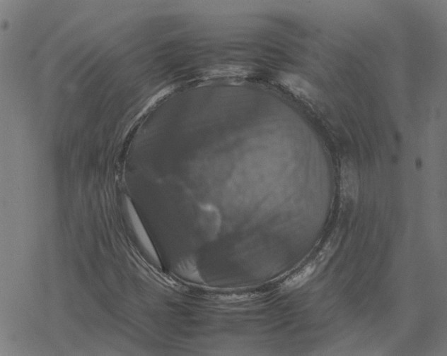 X0000077291401200611101331