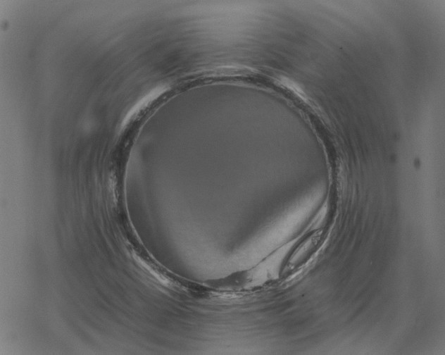 X0000077291402200611101331