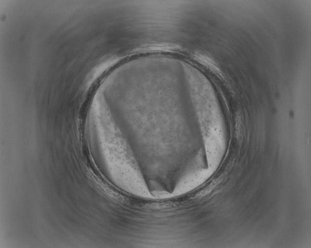 X0000077291404200611101331