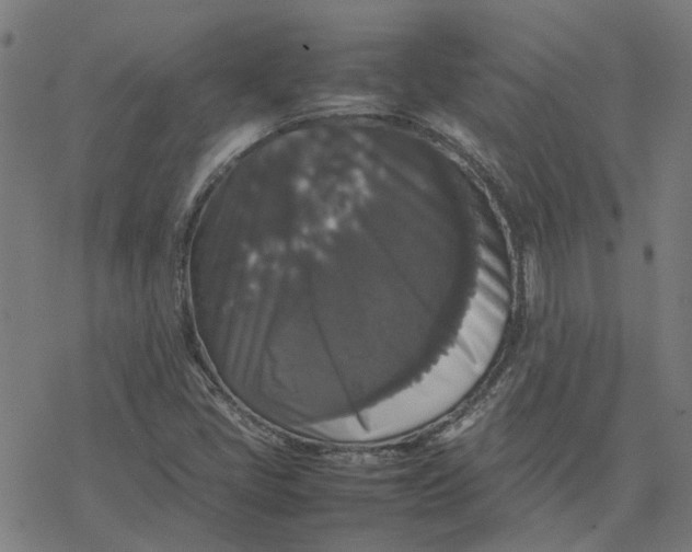 X0000077291405200611101331