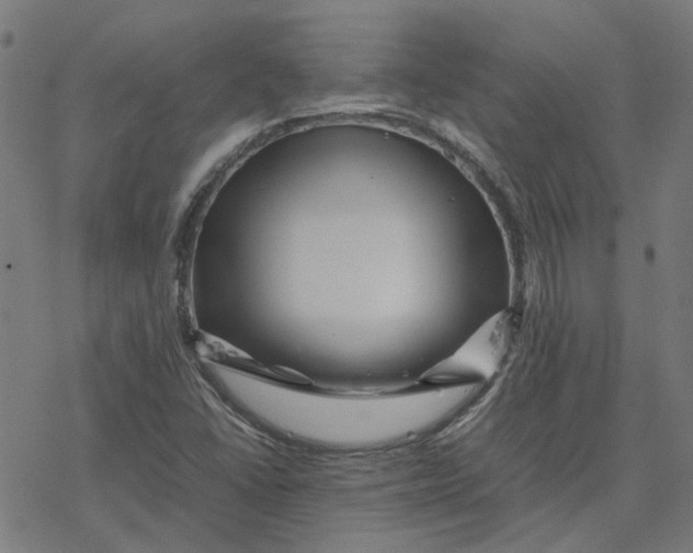 X0000077291406200611101331