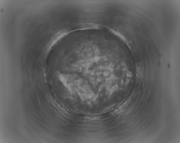 X0000077291407200611101331