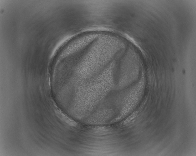 X0000077291408200611101331