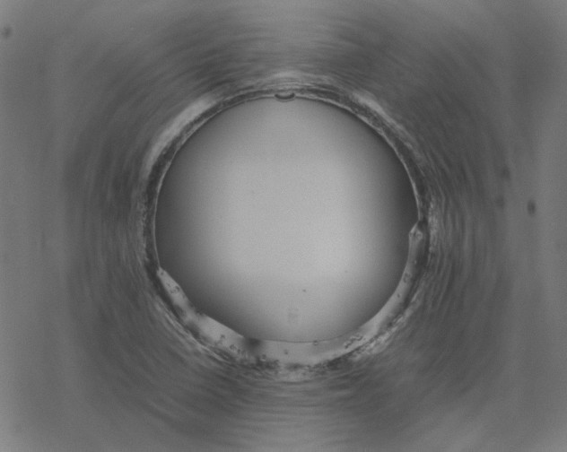 X0000077291410200611101331