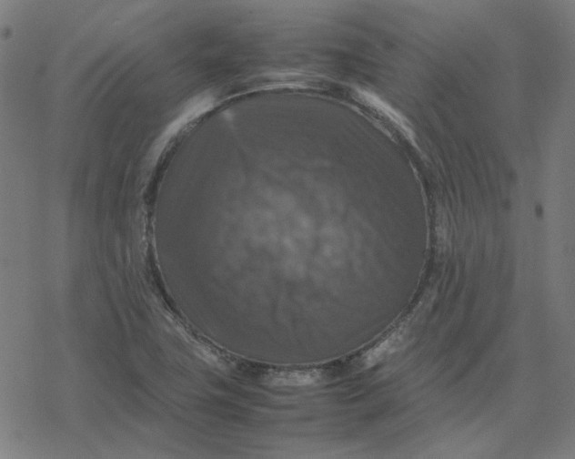 X0000077291411200611101331