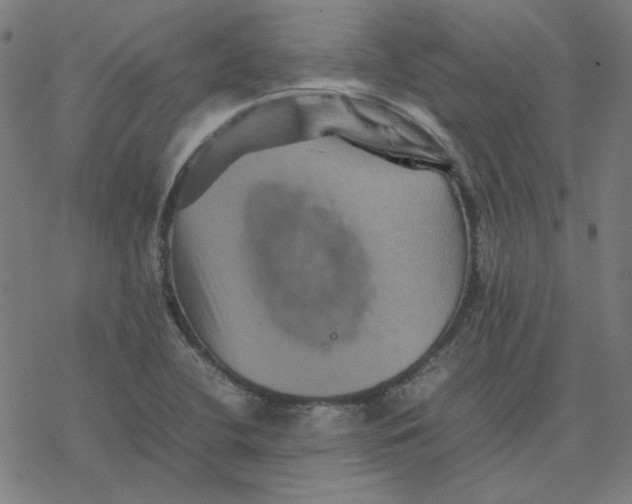 X0000077291412200611101331