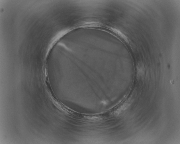 X0000077291413200611101331