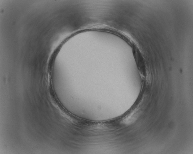 X0000077291414200611101331