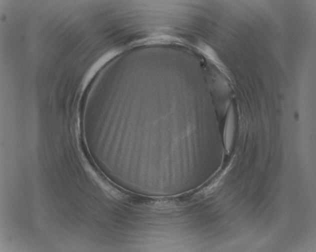 X0000077291418200611101331