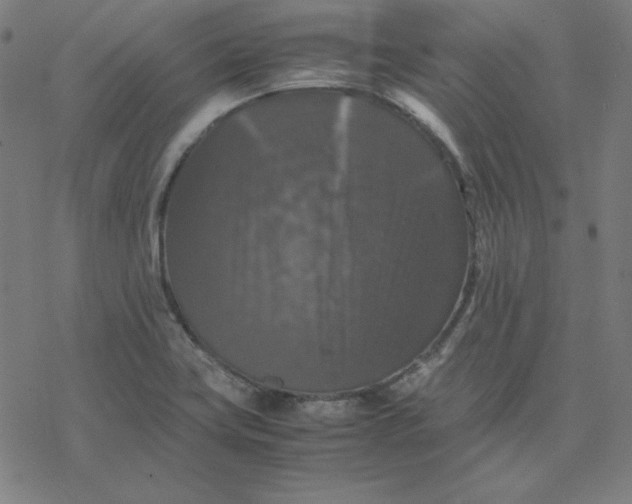 X0000077291419200611101331