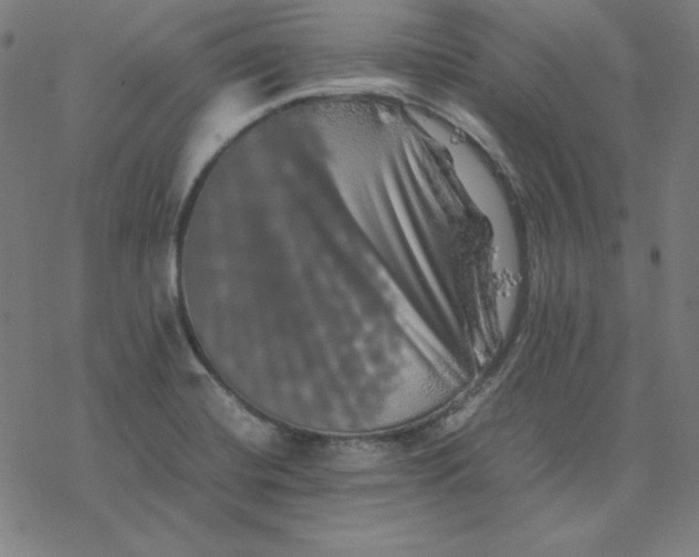 X0000077291420200611101331