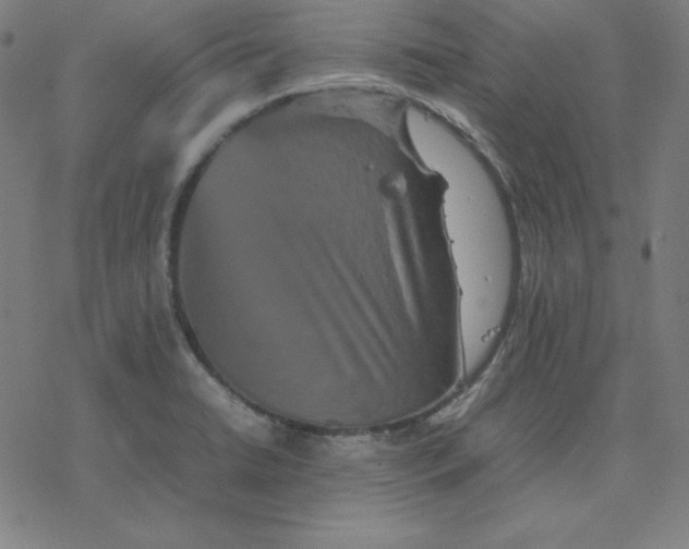 X0000077291422200611101331