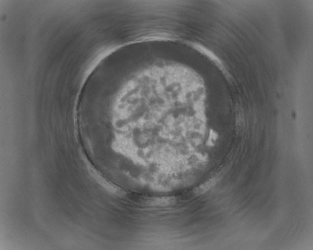 X0000077291423200611101331