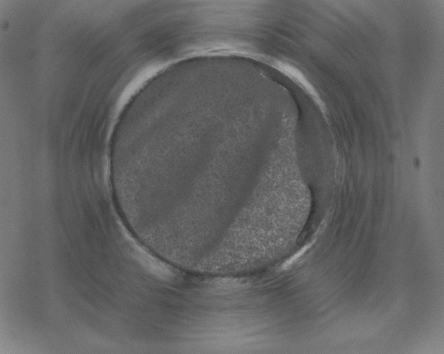 X0000077291424200611101331