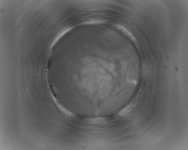 X0000077291425200611101332