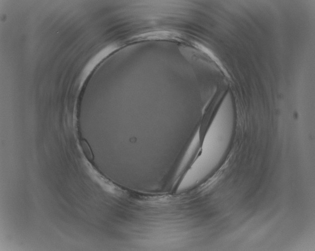 X0000077291426200611101332