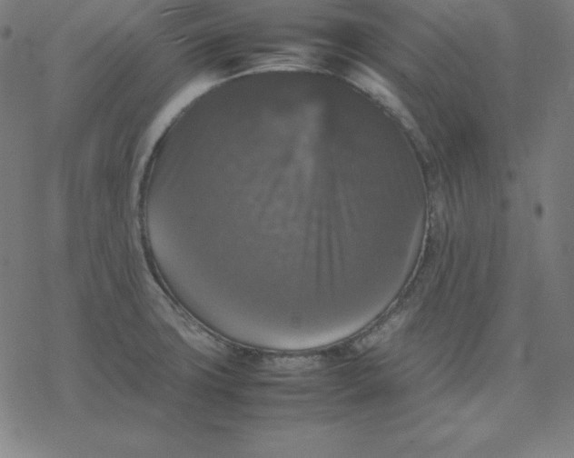 X0000077291427200611101332