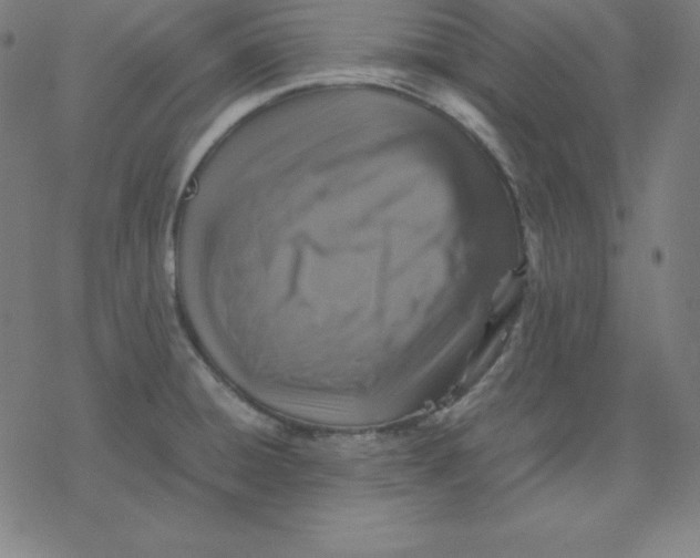 X0000077291428200611101332