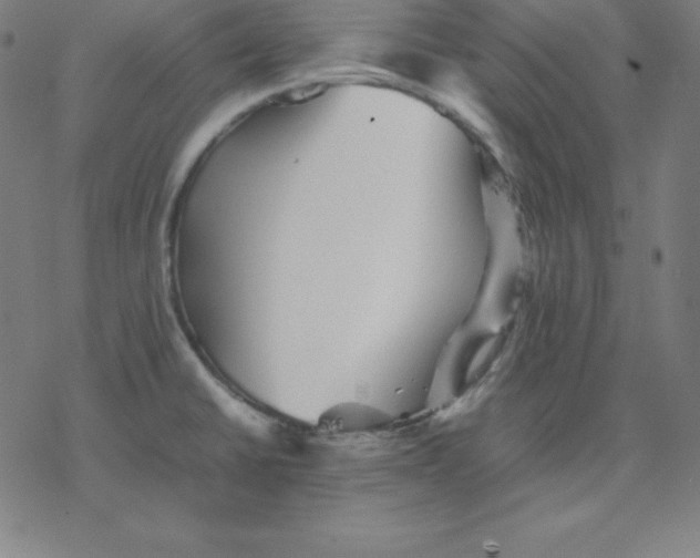 X0000077291430200611101332