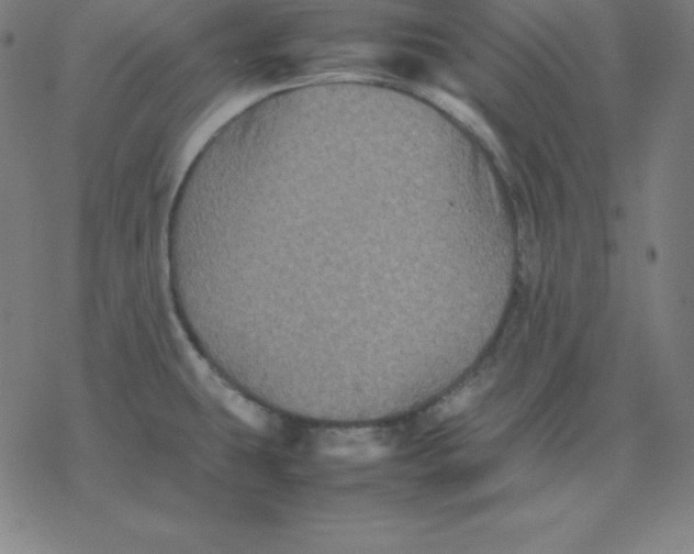 X0000077291431200611101332