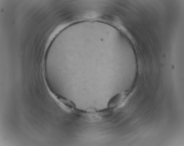 X0000077291432200611101332