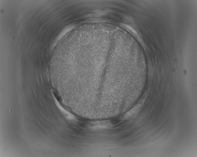 X0000077291433200611101332