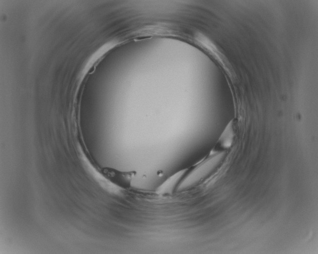 X0000077291434200611101332