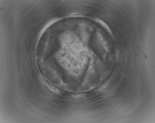 X0000077291435200611101332