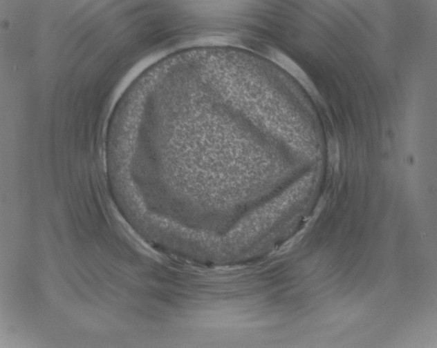 X0000077291436200611101332