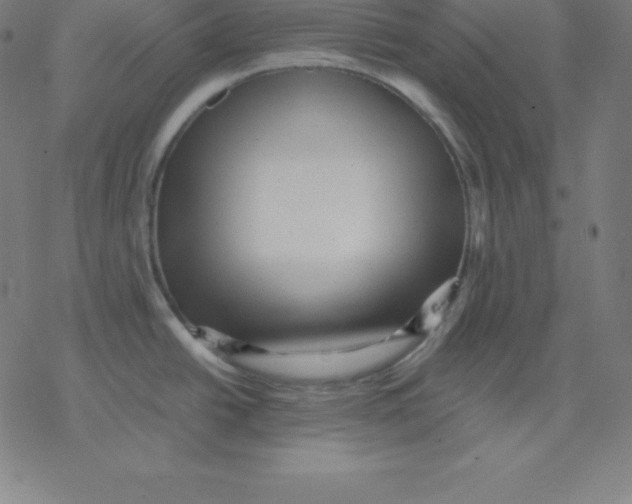 X0000077291438200611101332