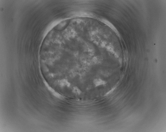 X0000077291439200611101332