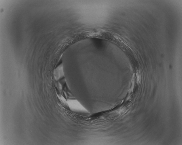 X0000077291441200611101331