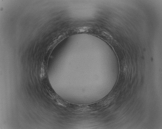 X0000077291442200611101331