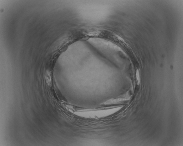 X0000077291443200611101331