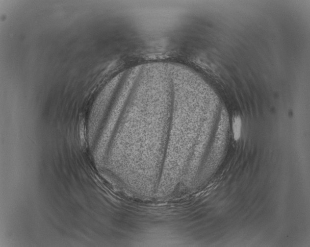 X0000077291444200611101331