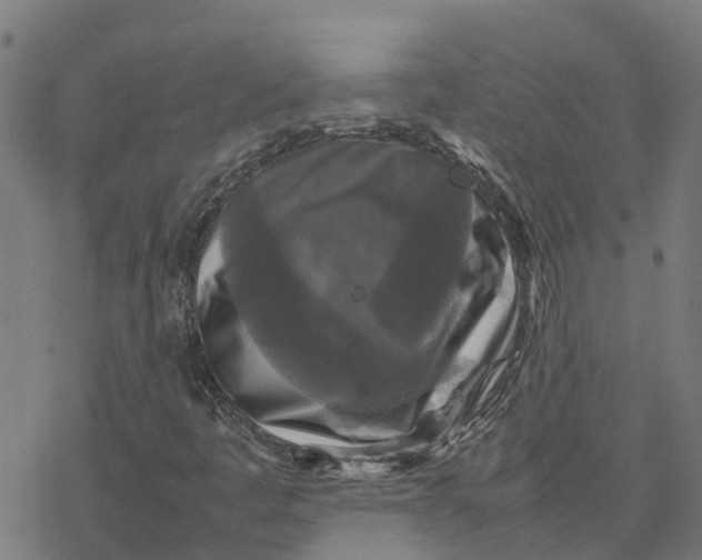 X0000077291445200611101331