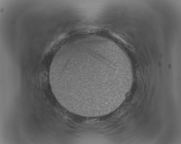 X0000077291447200611101331