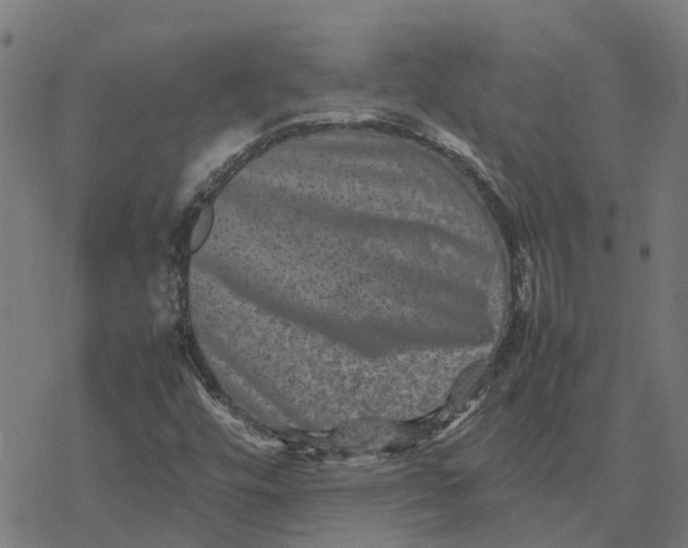 X0000077291448200611101331