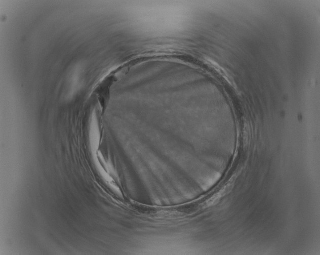 X0000077291449200611101331