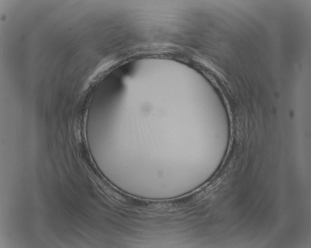 X0000077291451200611101331